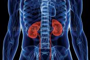 Kidney Diseases