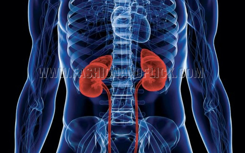 Kidney Diseases